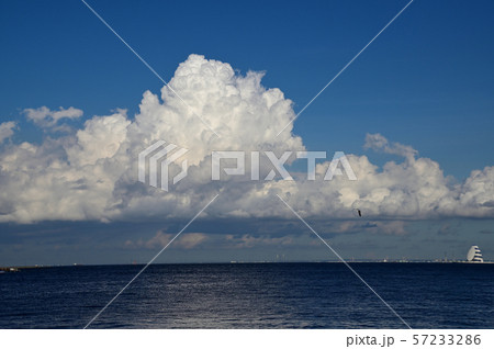 東扇島公園からの夏の終わりの積乱雲 57233286