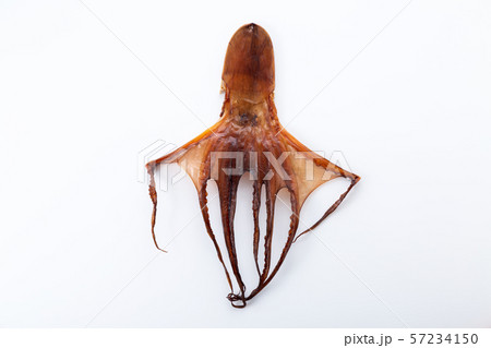 干しダコ 干しダコ 57234150