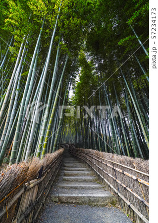 化野念仏寺の竹林 化野念仏寺の竹林 57234173