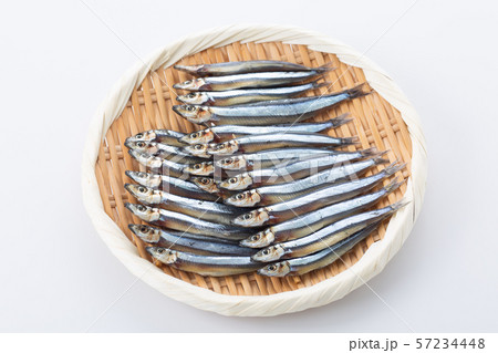 キビナゴ キビナゴ 57234448