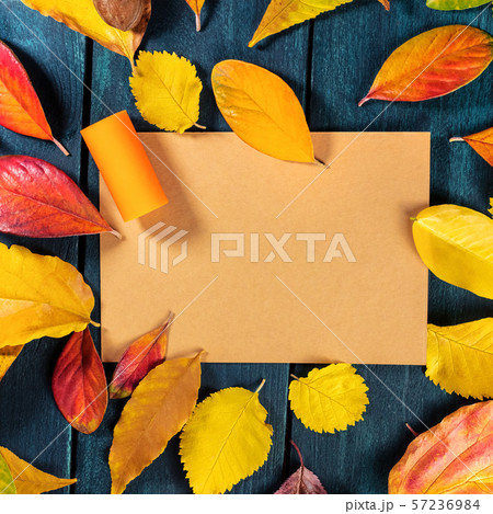 Autumn wine design template with a wine cork on a brown kraft paper with vibrant fall leaves forming 57236984