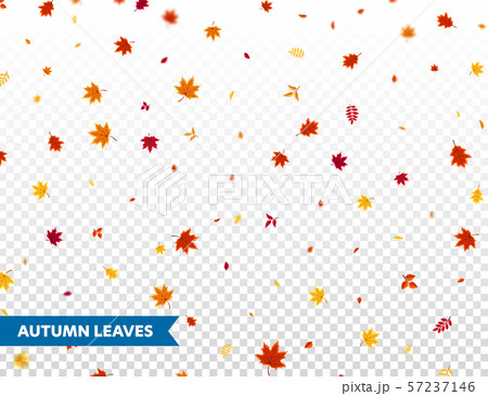Autumn falling leaves. Nature background with red, orange, yellow foliage. Flying leaf. Season sale 57237146