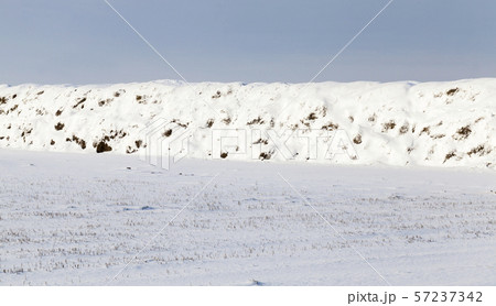 old straw with snow old straw with snow 57237342