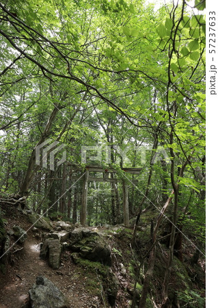 三峯神社 五之鳥居 三峯神社 五之鳥居 57237633