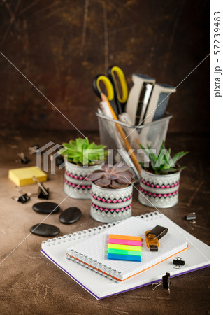 Notepad and succulents on the table. The Business 57239483