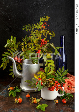 autumn still life with rowan 57240258