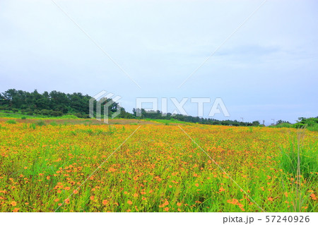 雲 快晴 景色 57240926