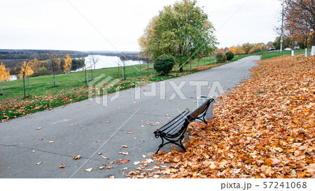 Wooden bench autumn in park, a background of golden leaves from trees, in October September, rest 57241068