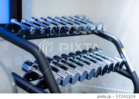 スポーツジム トレーニングルーム スポーツジム トレーニングルーム 57241324