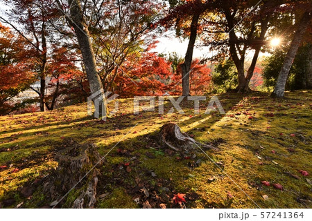 秋イメージ　尾関山公園　秋の景色 57241364