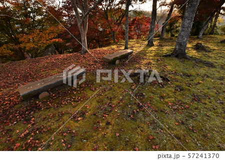秋イメージ　尾関山公園　秋の景色 57241370