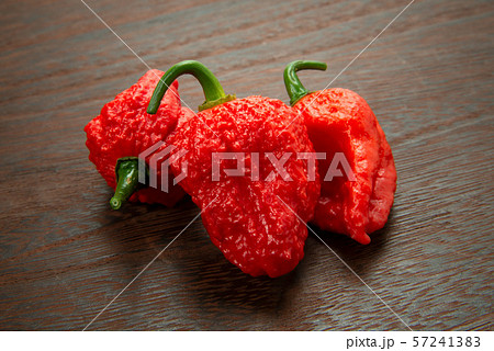 ブートジョロキア ブートジョロキア 57241383