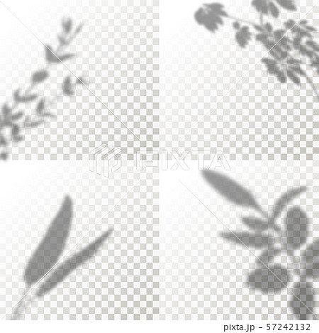Set of Shadow Overlay Plant Vector Mockup. The transparent Shadows overlay effects Of Leaf in a 57242132