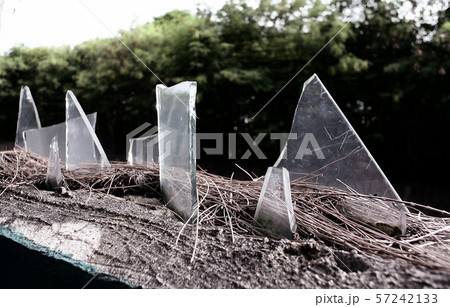 Broken sharp glass decoration on top of fence for 57242133