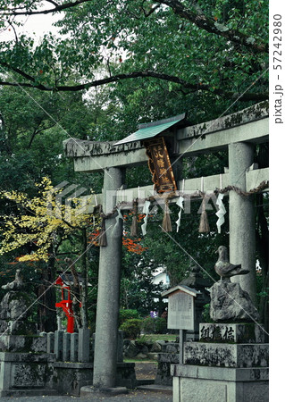 三宅八幡宮 京都 三宅八幡宮 京都 57242980