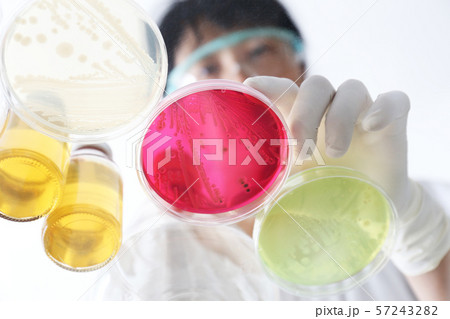 研究イメージ　微生物検査 57243282