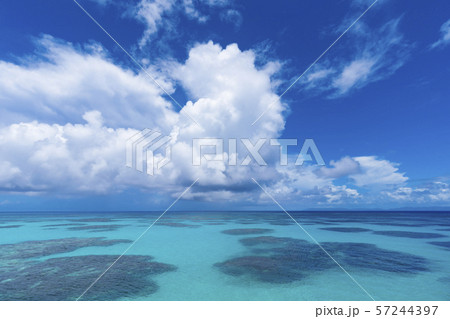 波照間島　ハテルマブルー 57244397