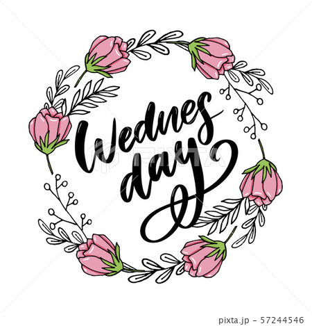 Wednesday words. Quote design. Hand drawn ink 57244546