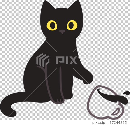 Cat breaking cup 57244835