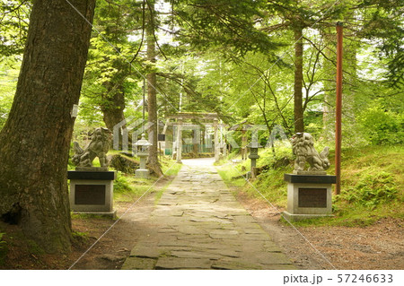 旧軽井沢 諏訪神社 57246633