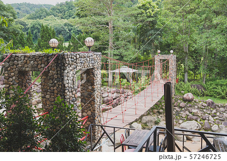 Photo of A suspension bridge built in harmony with nature 57246725