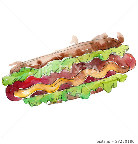 Hot dog fast food isolated. Watercolor background illustration set. Isolated snack illustration 57250186