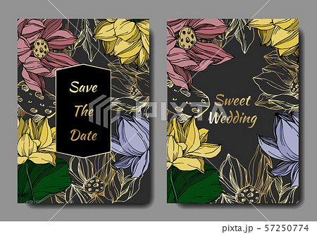 Vector Lotus floral botanical flowers. Black and white engraved ink art. Wedding background card 57250774