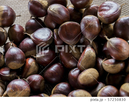 集められた栗の実 少し余白あり 集められた栗の実 少し余白あり 57250830