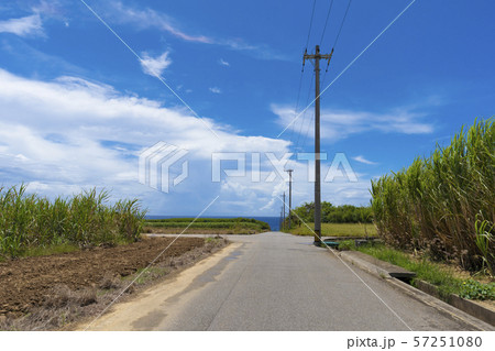 波照間の農村風景 波照間の農村風景 57251080