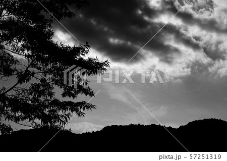 恐怖イメージ　ざわめく木々と不気味な雲 57251319