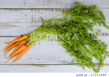 Bunch of fresh carrots with green leaves on white Bunch of fresh carrots with green leaves on white 57251494