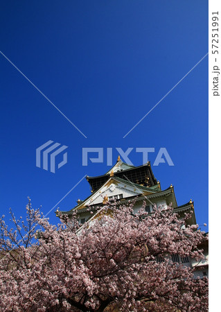 サクラと大阪城 サクラと大阪城 57251991