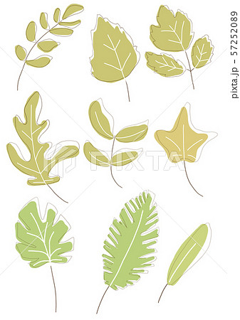 木の葉 葉 草の葉のイラスト素材 5725