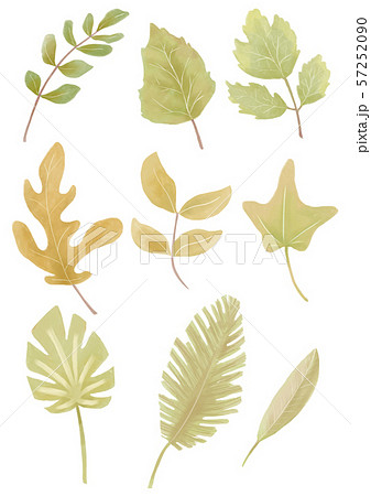 木の葉 葉 草の葉のイラスト素材