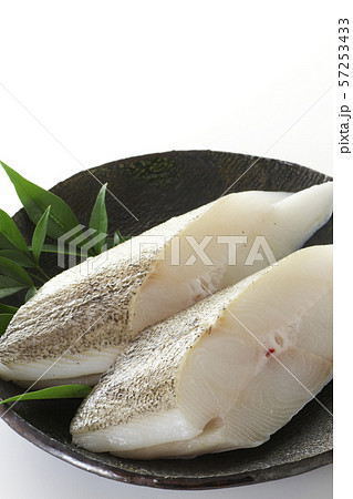 カラスカレイ14 57253433