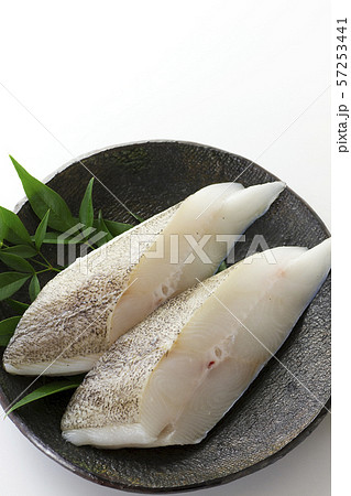 カラスカレイ21 57253441