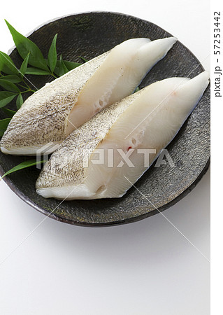 カラスカレイ22 57253442