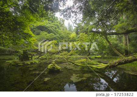 山吹水源 57253822