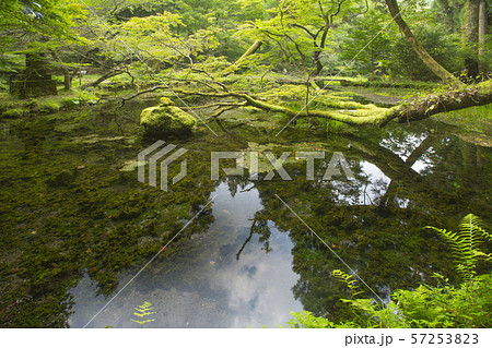 山吹水源 山吹水源 57253823