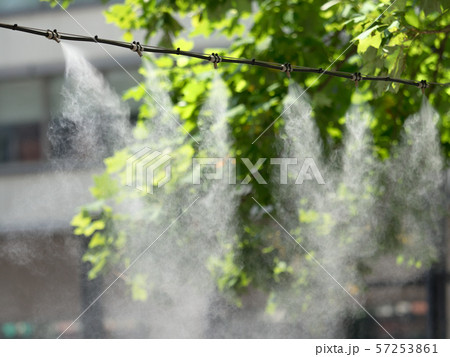 東京都　丸の内仲通りのドライミスト 57253861