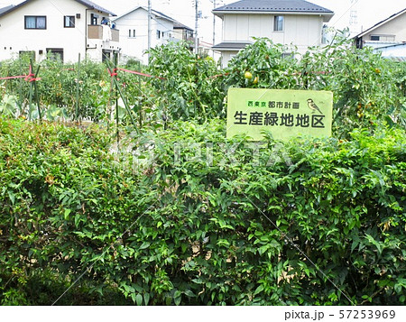生産緑地　Productive green areas 57253969