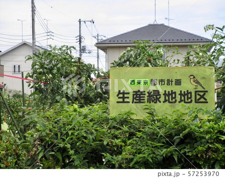 生産緑地　Productive green areas 57253970