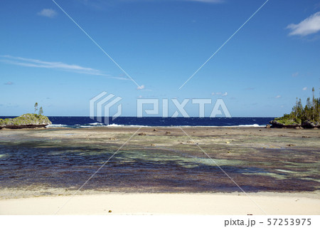 ニューカレドニア ロイヤルティ諸島 マレ島 メビットビーチ ニューカレドニア ロイヤルティ諸島 マレ島 メビットビーチ 57253975