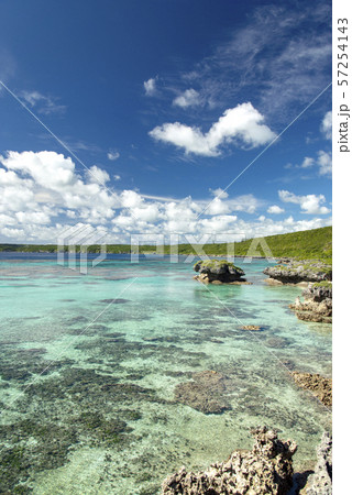 ニューカレドニア ロイヤルティ諸島　マレ島　ロー海岸　セダイ 57254143
