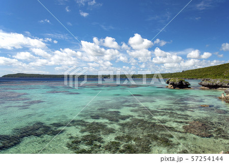 ニューカレドニア ロイヤルティ諸島 マレ島 ロー海岸 セダイ ニューカレドニア ロイヤルティ諸島 マレ島 ロー海岸 セダイ 57254144