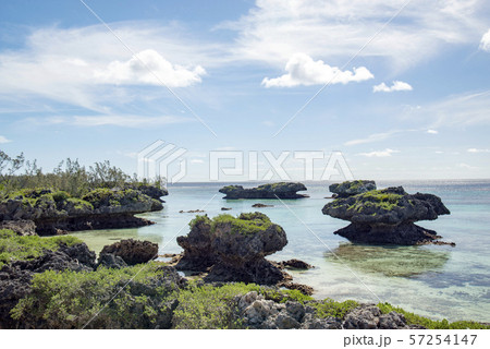 ニューカレドニア ロイヤルティ諸島　マレ島　ロー海岸　セダイ 57254147