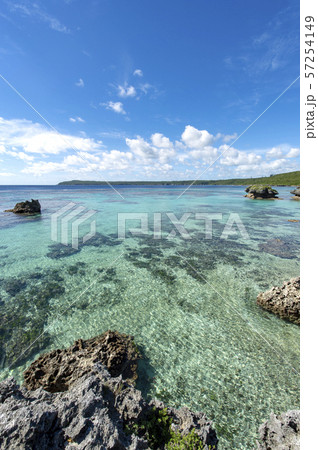 ニューカレドニア ロイヤルティ諸島 マレ島 ロー海岸 セダイ ニューカレドニア ロイヤルティ諸島 マレ島 ロー海岸 セダイ 57254149