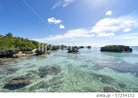 ニューカレドニア ロイヤルティ諸島　マレ島　ロー海岸　セダイ 57254152