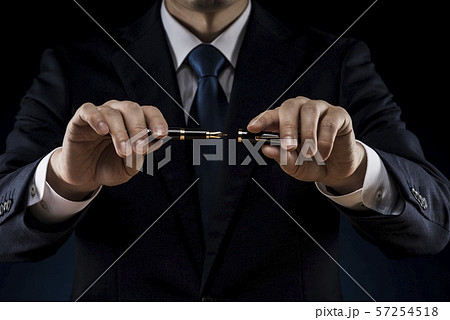 ビジネスマン 万年筆 ビジネスマン 万年筆 57254518