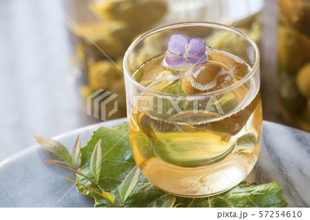 梅酒 梅酒 57254610